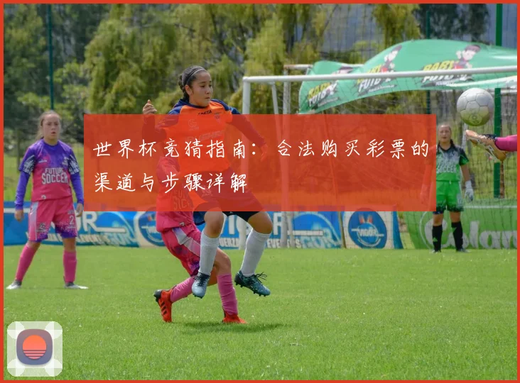 世界杯竞猜指南：合法购买彩票的渠道与步骤详解