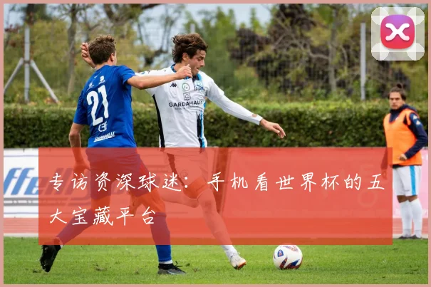 专访资深球迷:手机看世界杯的五大宝藏平台