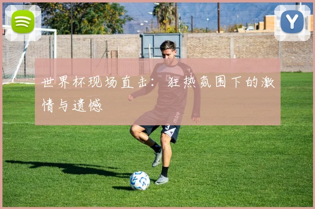 世界杯现场直击：狂热氛围下的激情与遗憾
