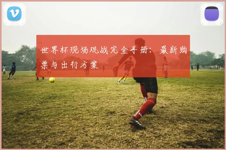 世界杯现场观战完全手册：最新购票与出行方案