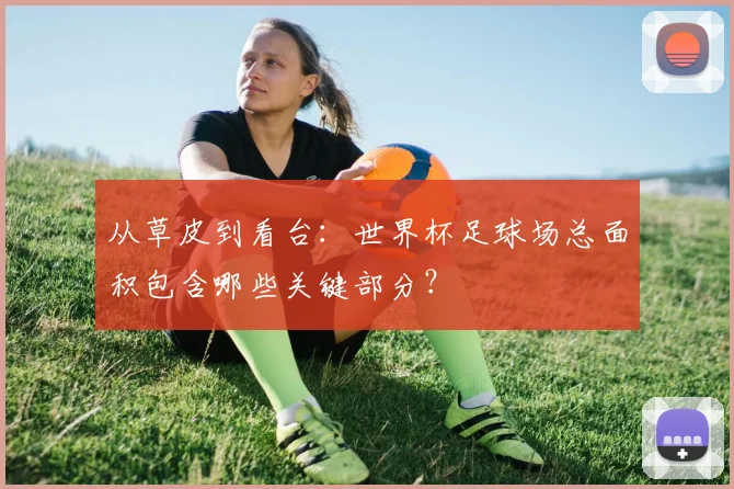 从草皮到看台：世界杯足球场总面积包含哪些关键部分？